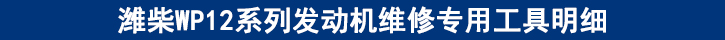 濰柴WP12系列發(fā)動(dòng)機(jī)維修專用工具明細(xì).jpg