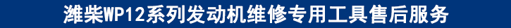 濰柴WP12系列發(fā)動(dòng)機(jī)維修專用工具售后服務(wù).jpg