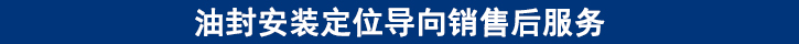 油封安裝定位導(dǎo)向銷(xiāo)售后服務(wù).jpg