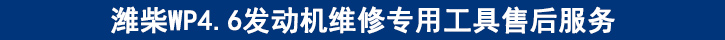 濰柴WP4.6發(fā)動(dòng)機(jī)維修專用工具售后服務(wù).jpg